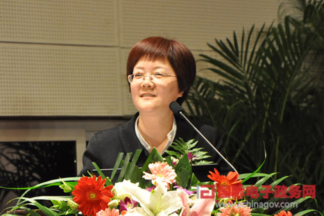 郑爱军：“政府网站+”的认识与实践