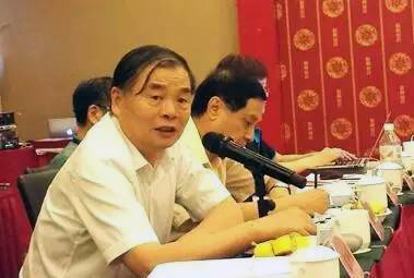 在中国智慧城市发展与评估指标体系建设专家研讨会上，北京大学教授、工信部原副部长杨学山以《新型智慧城市建设与发展思考》为题发言