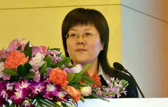 在2015中国智慧政府发展年会上，玉祥集团互联总经理、首席规划师郑爱军发布《2015中国"互联网+政务"优秀实践案例50强评选结果》