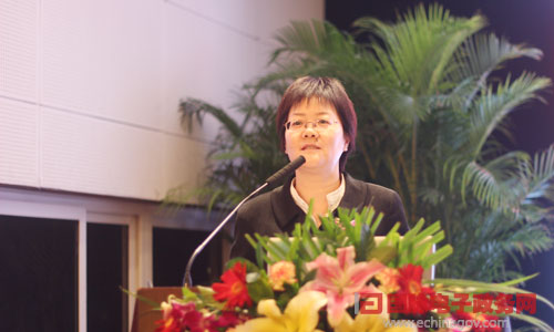 在"2014中国智慧政府发展年会"上，玉祥集团互联总经理、首席规划师郑爱军发表主题演讲